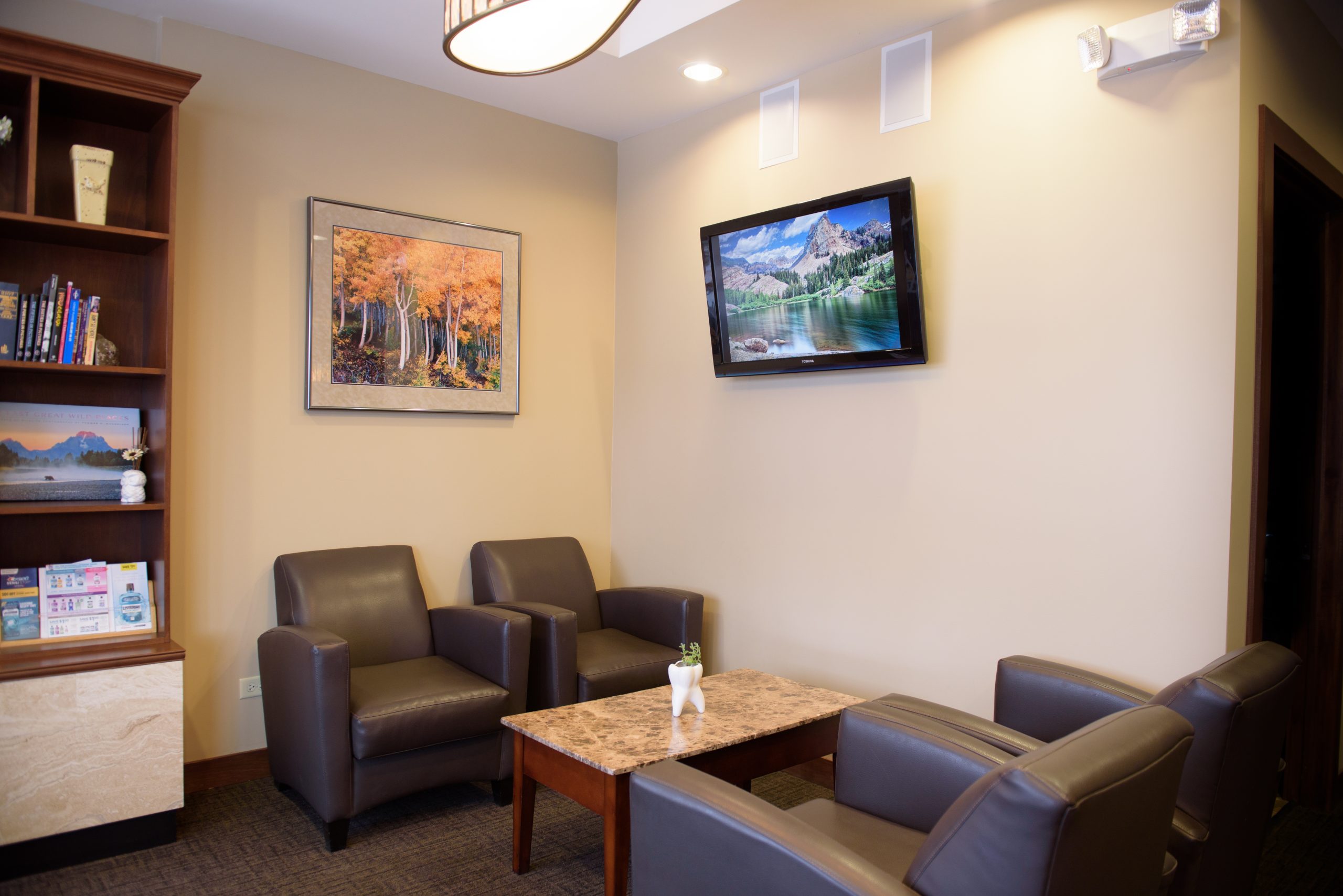 The-Peak-of-Dentistry-Kurt-Carlson-DMD-Elmhurst-Family-Dentist-Office-Interior